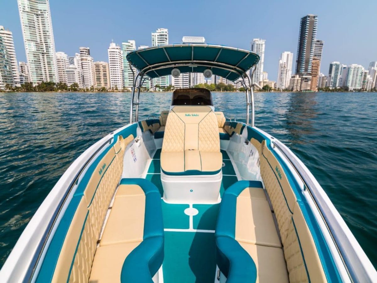 29 ft Boat Uchalex - 2