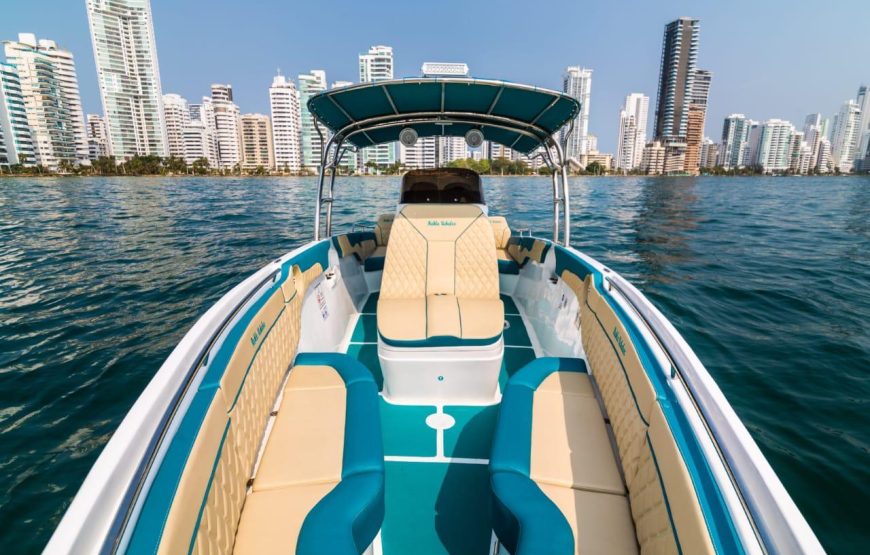 29 ft Boat Uchalex – 9 Guests
