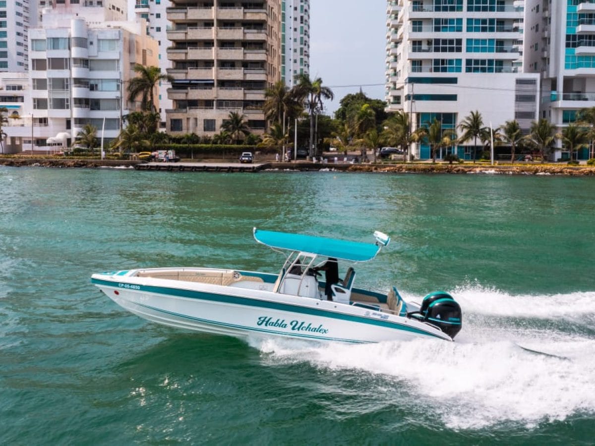 29 ft Boat Uchalex - 4