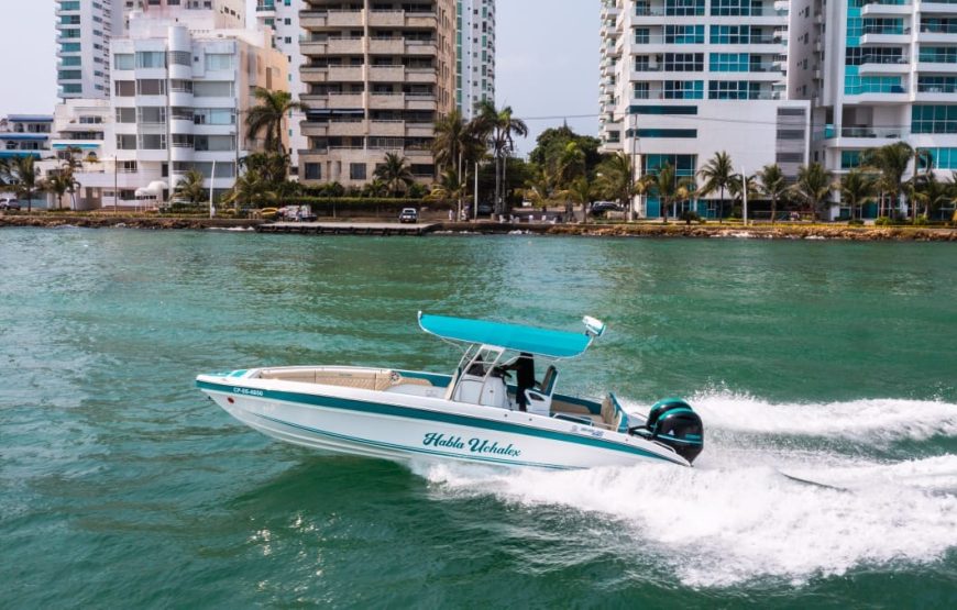 29 ft Boat Uchalex – 9 Guests