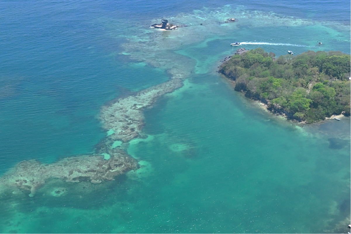Aerial view of coral reef and turquoise water near Capri, Rosario Islands