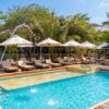 Pool with sun loungers and white umbrellas at Ibbiza Island Beach Club