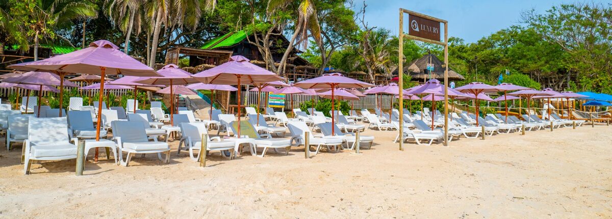 Beach zone with sun loungers and purple umbrellas at Luxury Beach Club