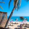 Palm trees and white-sand beach with turquoise sea at Luxury Beach Club