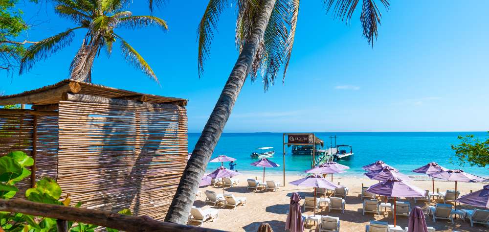 Palm trees and white-sand beach with turquoise sea at Luxury Beach Club