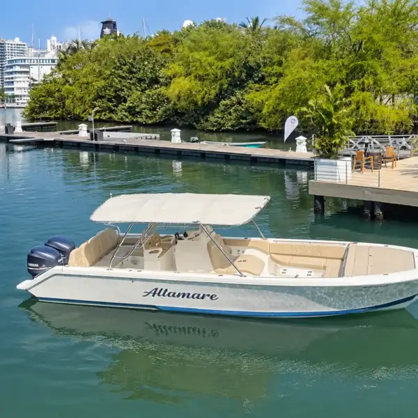 Altamare 34 ft private boat at a marina dock in Cartagena