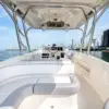 Center console and hardtop of the Interceptor boat with the Cartagena skyline