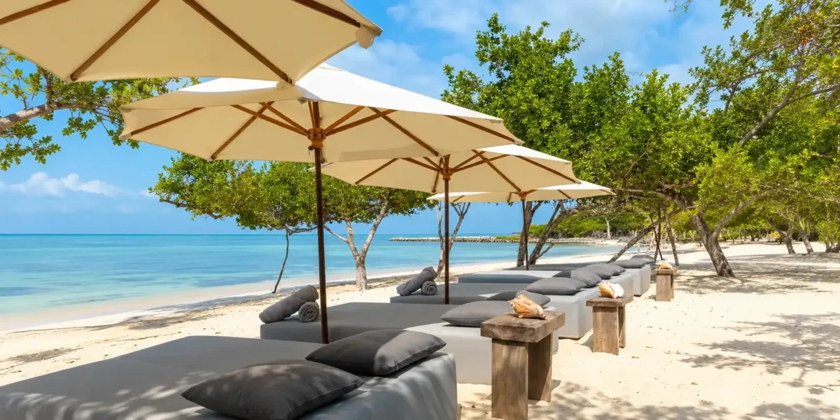Lounge beds and umbrellas on the beach at Sabai Beach Club