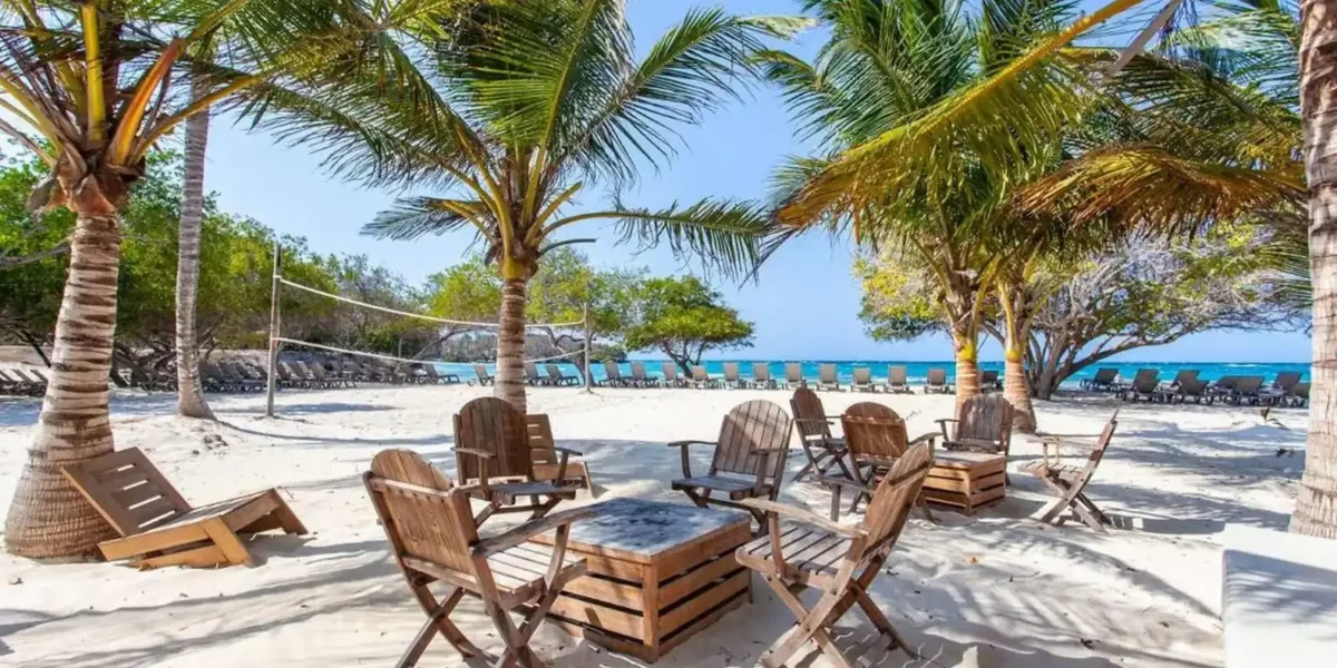Palm trees and beach chairs at Rosario de Mar