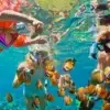 Snorkeling with tropical fish in the Rosario Islands