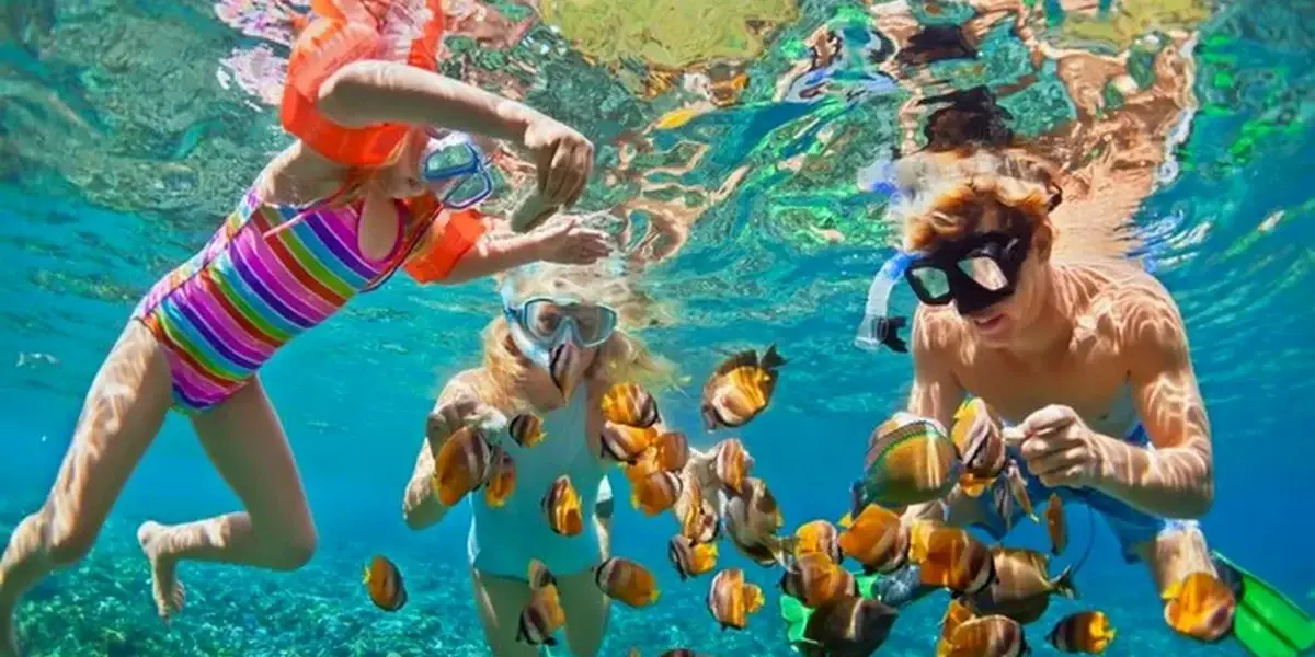 Snorkeling with tropical fish in the Rosario Islands