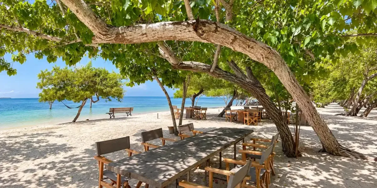 Shaded outdoor dining area at Sabai Beach Club