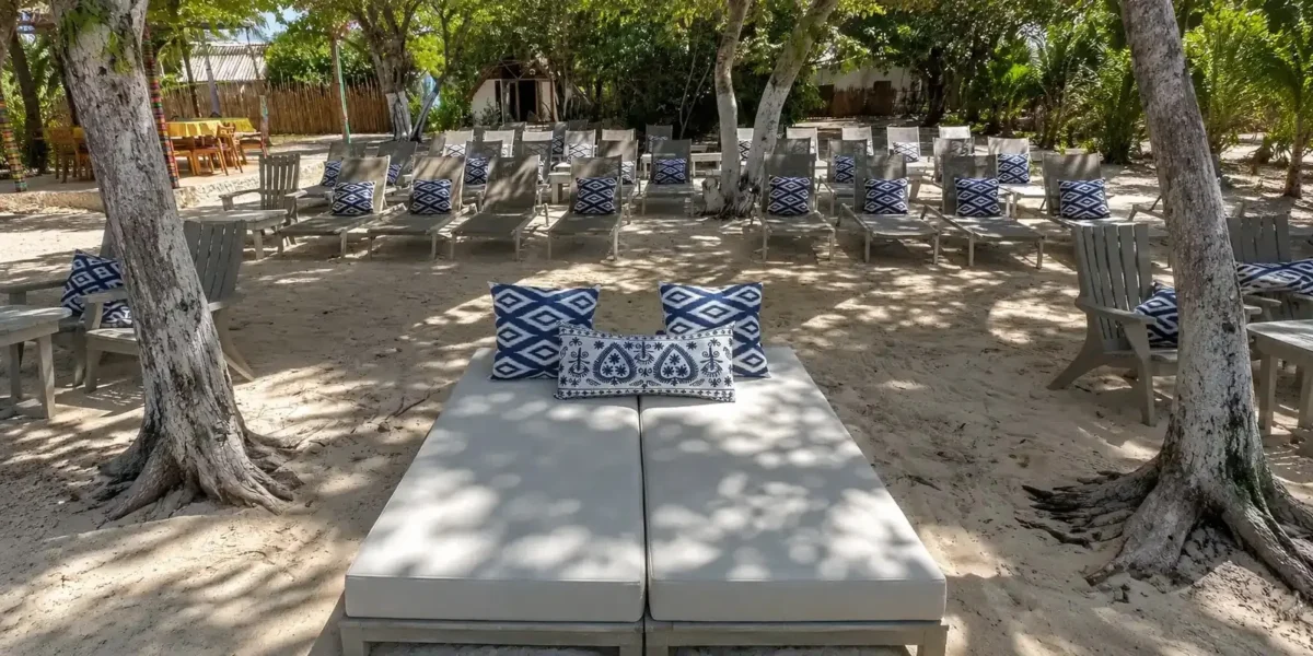 Sun beds in the shade at Dharma Beach Club, Rosario Islands